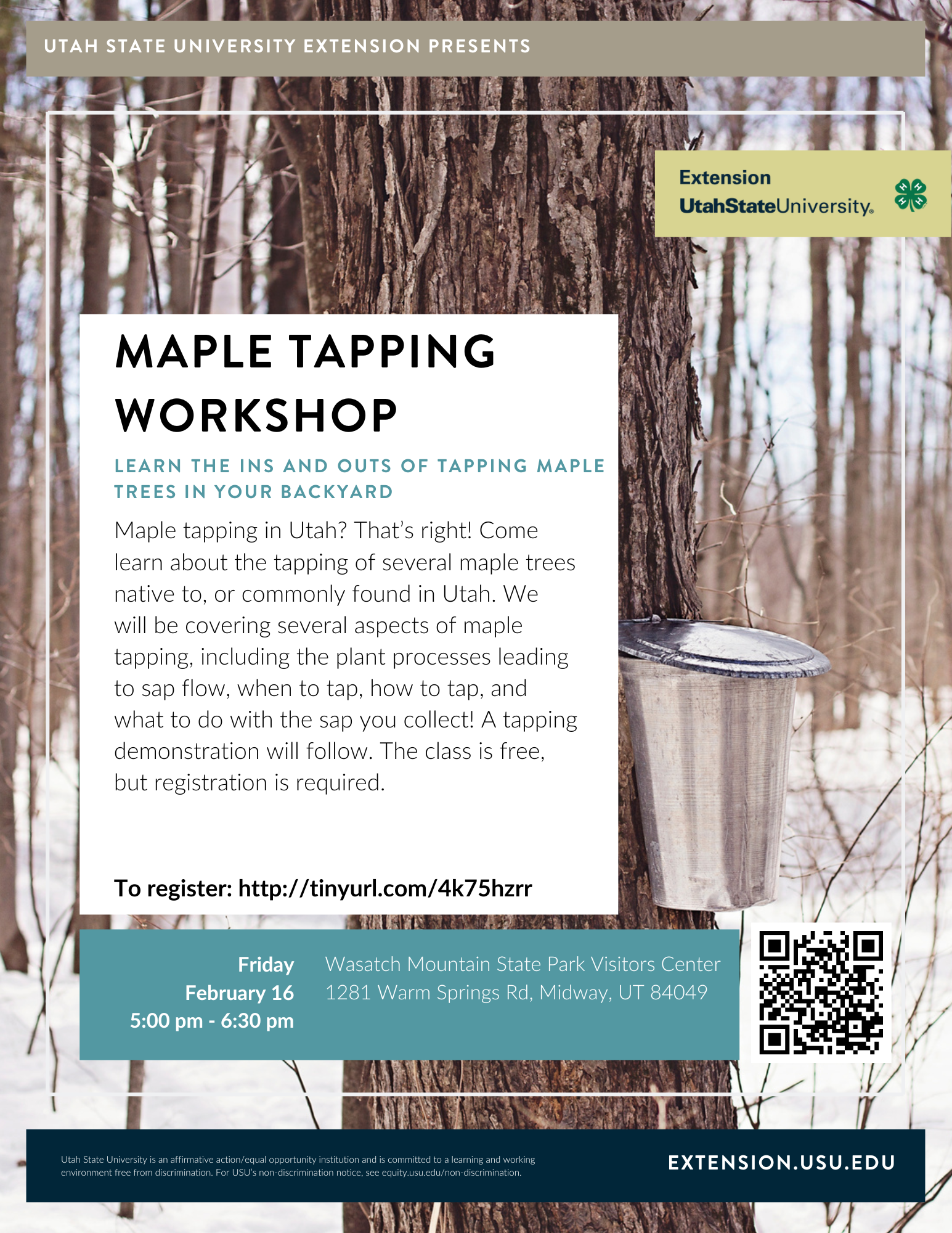 Maple Tapping Workshop Flyer 021624