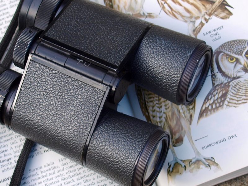 Birding Tools